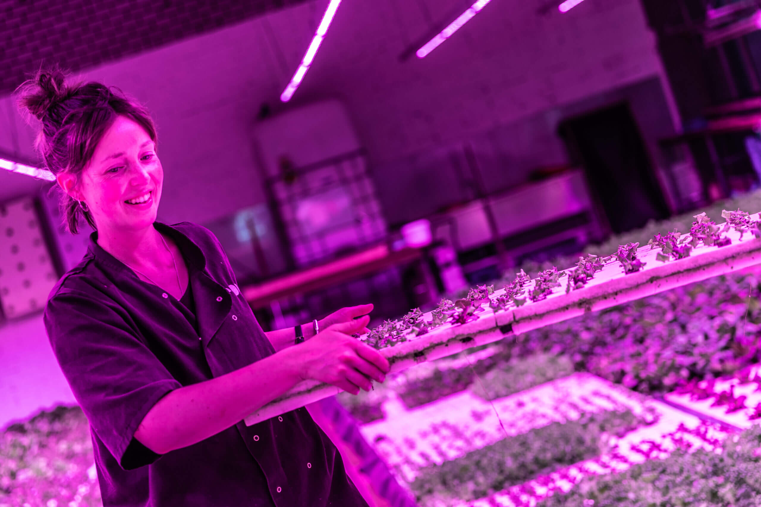 Phood Aquaponics Care Farm