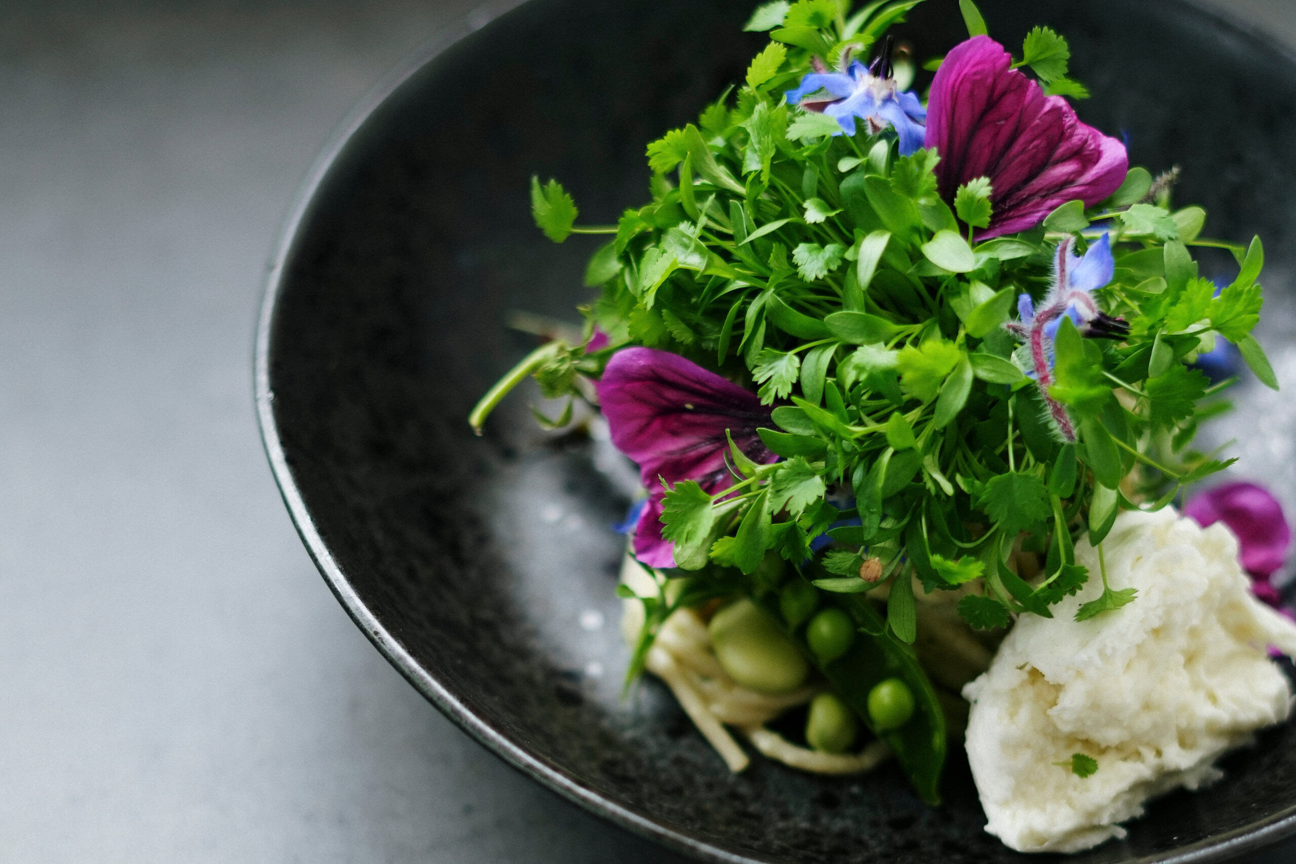 Pasta met Microkruiden