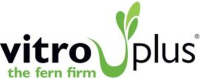 vitro plus the fern firm
